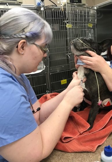 social media5 - intern drawing blood2