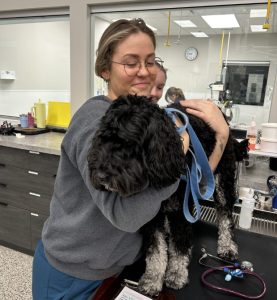 A veterinary intern and mentor reviewing a patient chart at BBVSH