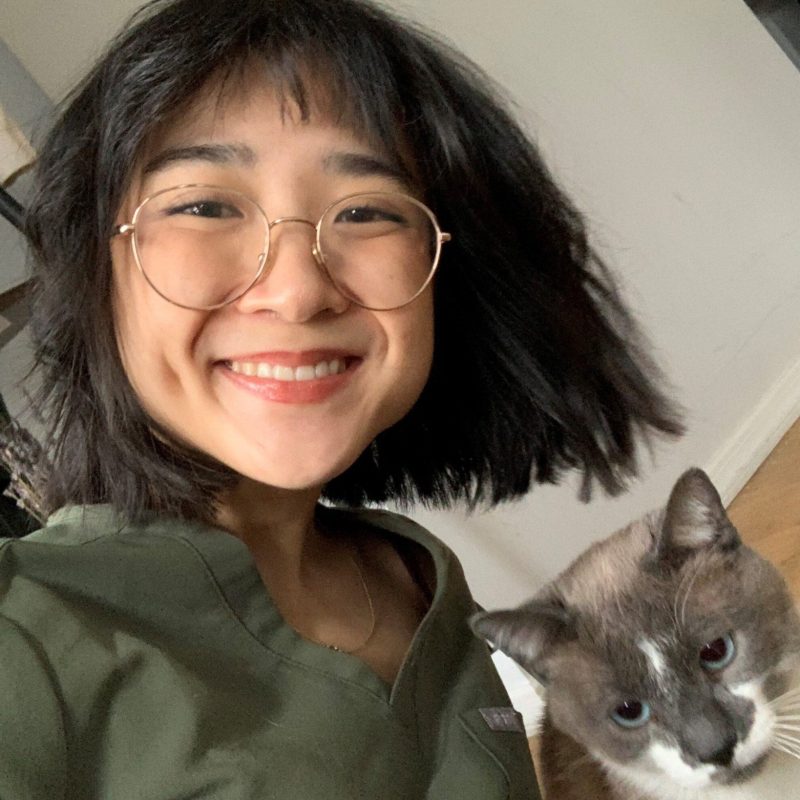 angela yu