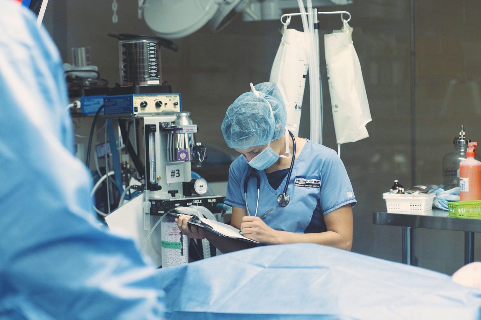 bbvsh-emergency-and-specialty-vet-6