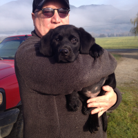Cooper - 1 of 10