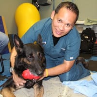Finn GSD (27)